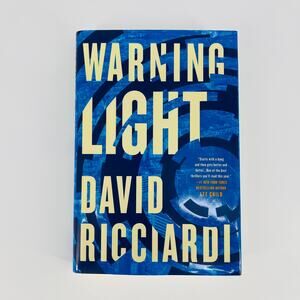 Warning Light, a hardcover novel / book by David Ricciardi - Good Used Condition